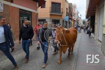  El alcalde de Telde se va con 'Rosita' (Foto TA)